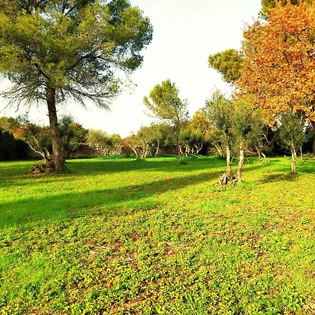 L'olivette D'uzes Yourhosthelper